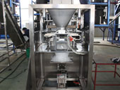 Customized fully-automatic ice packer