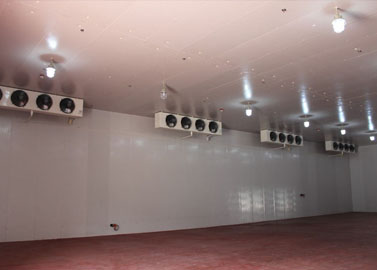 Large cold room