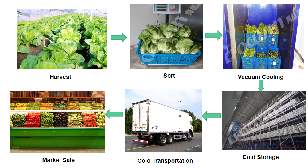 vacuum cooler applications