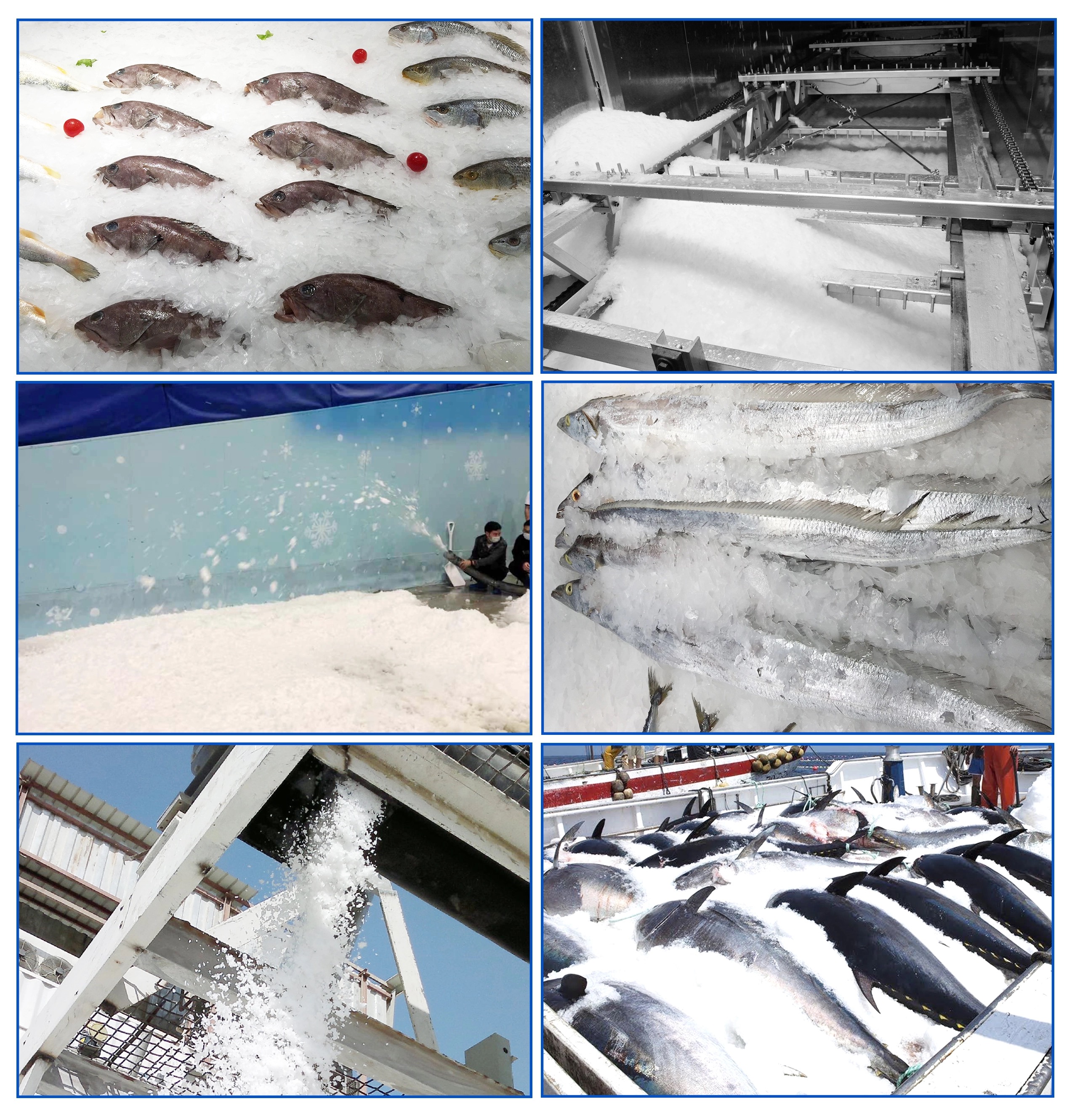 Freshwater flake ice providing fast contact cooling and meltwater flow for dockside fish preservation