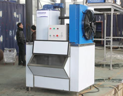 Small capacity flake ice machine