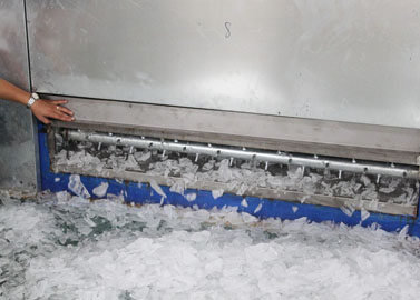 Plate ice machine by Focusun