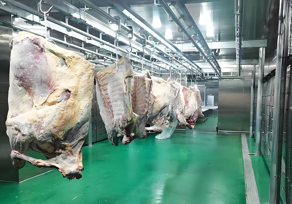 Focusun industrial ice machine for rapid meat cooling in slaughterhouses