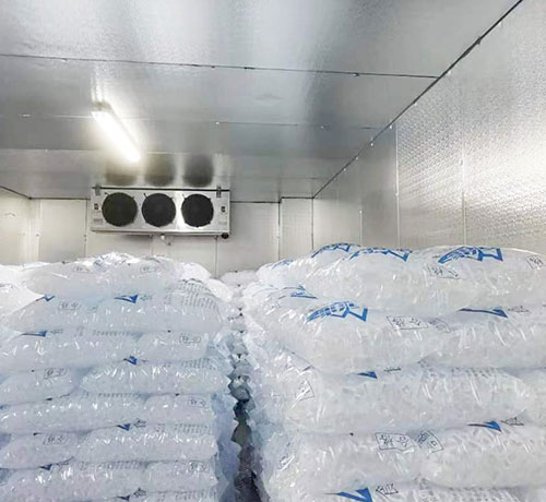 Ice Storage Cases
