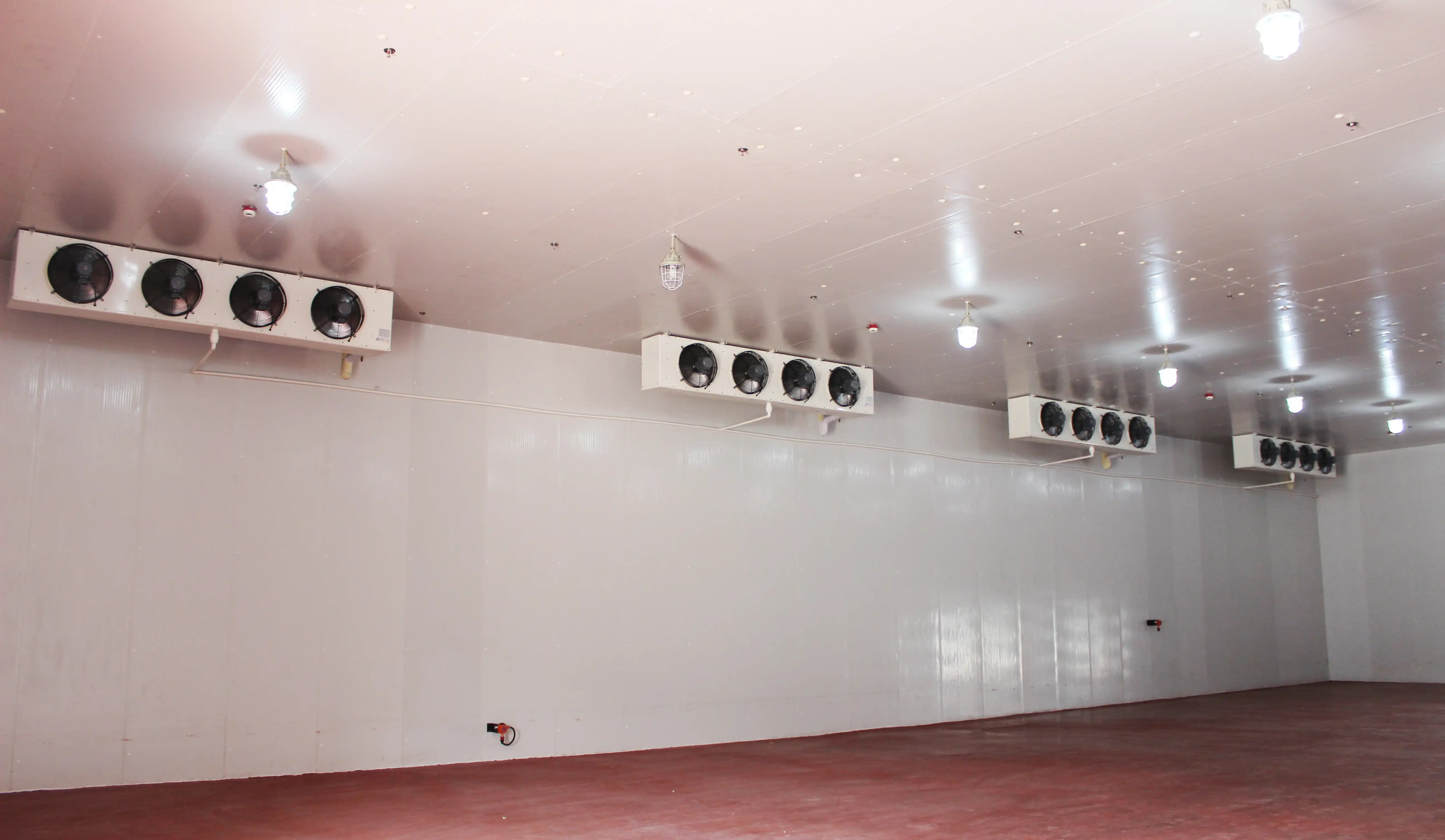 Containerized cold room for quick freezing and industrial deep-freeze storage